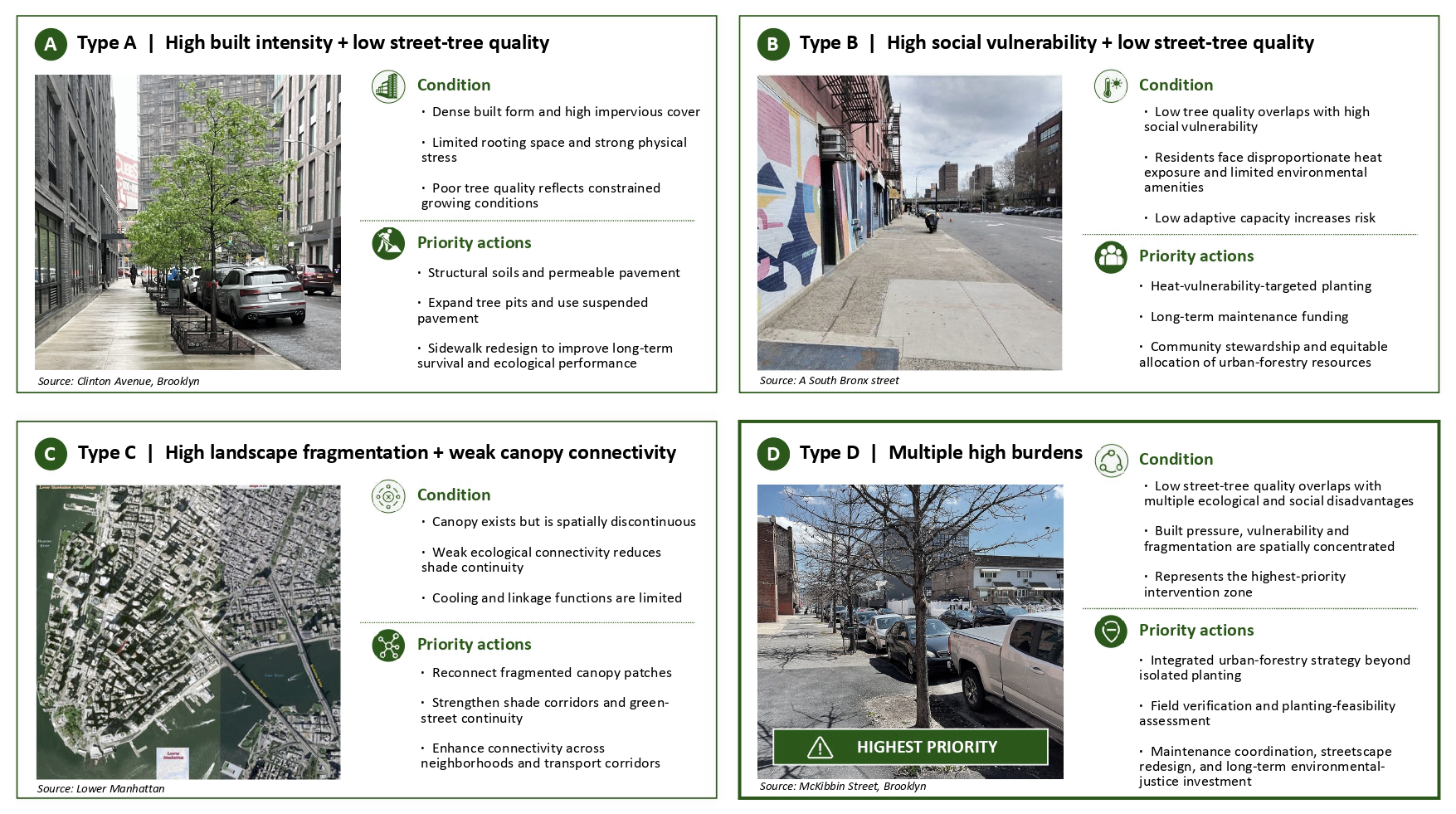 Place-based urban forestry action framework