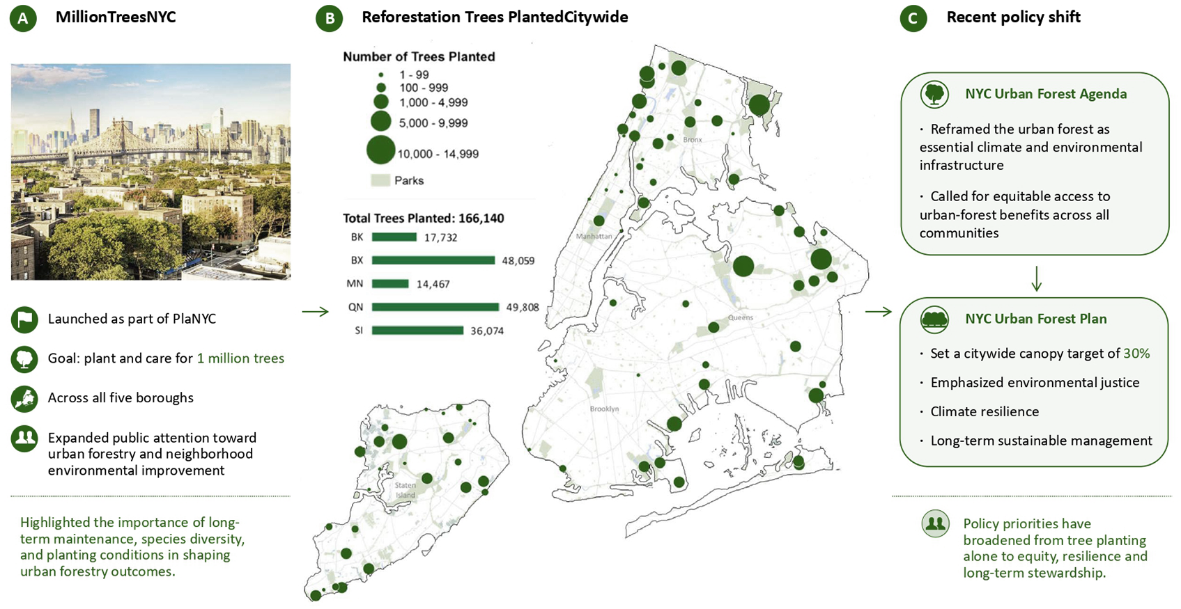 Policy evolution of urban forestry in New York City